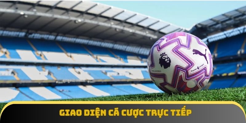 Giao diện cá cược trực tiếp tại nhà cái chúng tôi